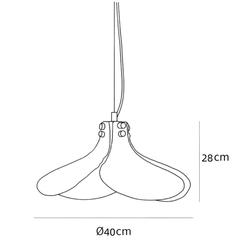 d798ac6ed6911abf8c0b3aac0fe20206.jpg