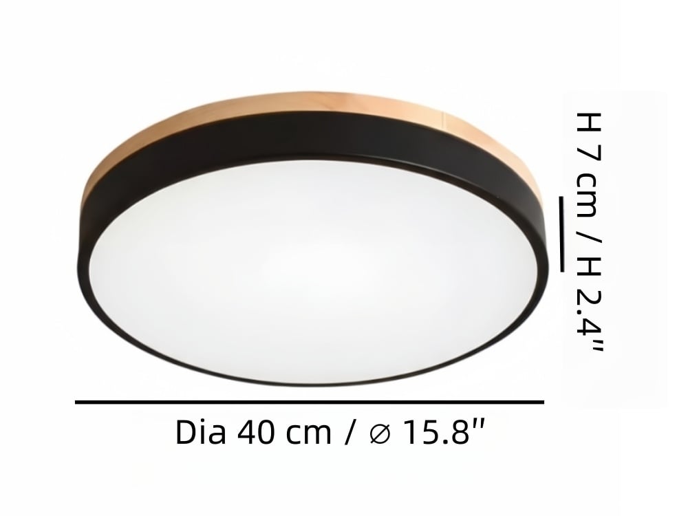 gai22.jpg